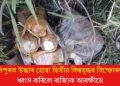 মণিপুৰত উদ্ধাৰ হোৱা দ্বিতীয় বিশ্বযুদ্ধৰ বিস্ফোৰক! ধ্বংস কৰিলে ৰাজ্যিক আৰক্ষীয়ে