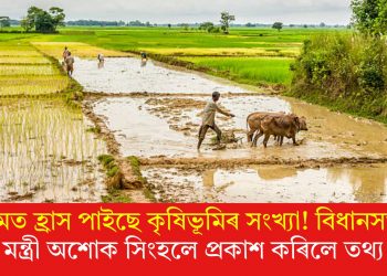 অসমত হ্ৰাস পাইছে কৃষিভূমিৰ সংখ্যা! বিধানসভাত মন্ত্ৰী অশোক সিংহলে প্ৰকাশ কৰিলে তথ্য  