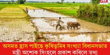 অসমত হ্ৰাস পাইছে কৃষিভূমিৰ সংখ্যা! বিধানসভাত মন্ত্ৰী অশোক সিংহলে প্ৰকাশ কৰিলে তথ্য  