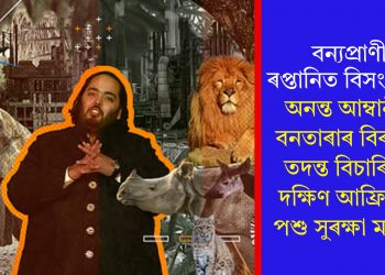 বন্যপ্ৰাণী ৰপ্তানিত বিসংগতি! অনন্ত আম্বানীৰ বনতাৰাৰ বিৰুদ্ধে তদন্ত বিচাৰিলে দক্ষিণ আফ্ৰিকাৰ পশু সুৰক্ষা মঞ্চই