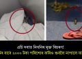 এচি দবাত নিগনিৰ মুক্ত বিচৰণ! টিকটৰ বাবে ২০০০ টকা পৰিশোধ কৰিও শুবলৈ নাপালে যাত্ৰীয়ে