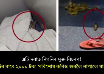 এচি দবাত নিগনিৰ মুক্ত বিচৰণ! টিকটৰ বাবে ২০০০ টকা পৰিশোধ কৰিও শুবলৈ নাপালে যাত্ৰীয়ে