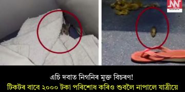 এচি দবাত নিগনিৰ মুক্ত বিচৰণ! টিকটৰ বাবে ২০০০ টকা পৰিশোধ কৰিও শুবলৈ নাপালে যাত্ৰীয়ে