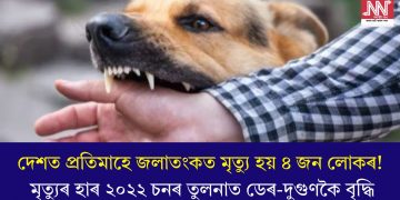 দেশত প্ৰতিমাহে জলাতংকত মৃত্যু হয় ৪ জন লোকৰ! মৃত্যুৰ হাৰ ২০২২ চনৰ তুলনাত ডেৰ-দুগুণকৈ বৃদ্ধি