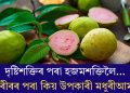 দৃষ্টিশক্তিৰ পৰা হজমশক্তিলৈ…শৰীৰৰ বাবে কিয় উপকাৰী মধুৰীআম?