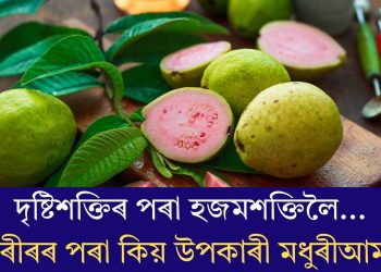 দৃষ্টিশক্তিৰ পৰা হজমশক্তিলৈ…শৰীৰৰ বাবে কিয় উপকাৰী মধুৰীআম?
