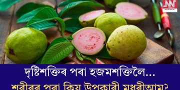 দৃষ্টিশক্তিৰ পৰা হজমশক্তিলৈ…শৰীৰৰ বাবে কিয় উপকাৰী মধুৰীআম?