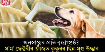 জনস্বাস্থ্যৰ প্ৰতি বৃদ্ধাংগুষ্ঠ? ম’ম’ ফেক্টৰীৰ ফ্ৰীজত কুকুৰৰ ছিন্ন-মূণ্ড উদ্ধাৰ