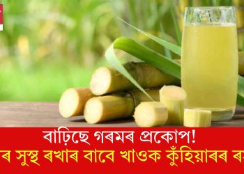বাঢ়িছে গৰমৰ প্ৰকোপ! শৰীৰ সুস্থ ৰখাৰ বাবে খাওক কুঁহিয়াৰৰ ৰস…