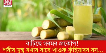বাঢ়িছে গৰমৰ প্ৰকোপ! শৰীৰ সুস্থ ৰখাৰ বাবে খাওক কুঁহিয়াৰৰ ৰস…