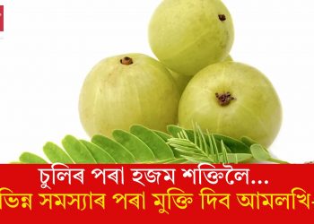 চুলিৰ পৰা হজম শক্তিলৈ… বিভিন্ন সমস্যাৰ পৰা মুক্তি দিব আমলখি-এ
