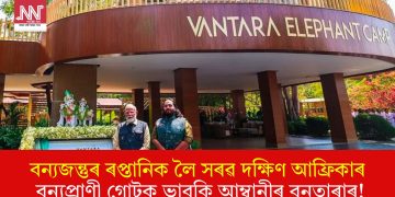 বন্যজন্তুৰ ৰপ্তানিক লৈ সৰৱ দক্ষিণ আফ্ৰিকাৰ বন্যপ্ৰাণী গোটক ভাবুকি আম্বানীৰ বনতাৰাৰ!