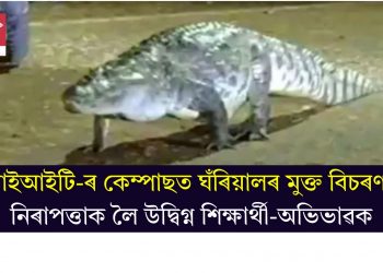 আইআইটি-ৰ কেম্পাছত ঘঁৰিয়ালৰ মুক্ত বিচৰণ! নিৰাপত্তাক লৈ উদ্বিগ্ন শিক্ষাৰ্থী-অভিভাৱক