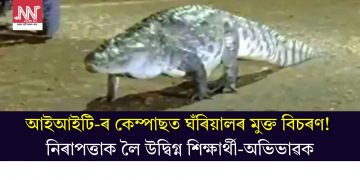 আইআইটি-ৰ কেম্পাছত ঘঁৰিয়ালৰ মুক্ত বিচৰণ! নিৰাপত্তাক লৈ উদ্বিগ্ন শিক্ষাৰ্থী-অভিভাৱক