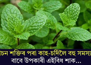 পাচন শক্তিৰ পৰা কাহ-চৰ্দিলৈ বহু সমস্যাৰ বাবে উপকাৰী এইবিধ শাক…