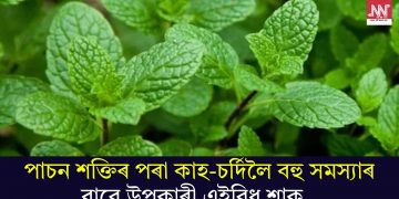 পাচন শক্তিৰ পৰা কাহ-চৰ্দিলৈ বহু সমস্যাৰ বাবে উপকাৰী এইবিধ শাক…