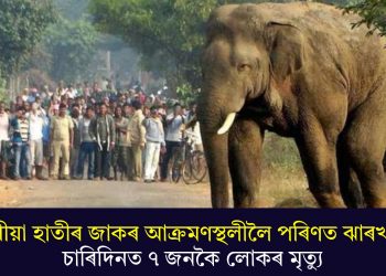 বনৰীয়া হাতীৰ জাকৰ আক্ৰমণস্থলীলৈ পৰিণত ঝাৰখণ্ড! চাৰিদিনত ৭ জনকৈ লোকৰ মৃত্যু