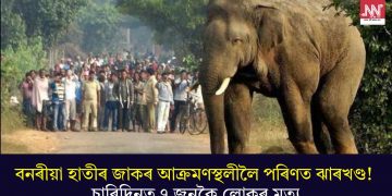 বনৰীয়া হাতীৰ জাকৰ আক্ৰমণস্থলীলৈ পৰিণত ঝাৰখণ্ড! চাৰিদিনত ৭ জনকৈ লোকৰ মৃত্যু