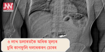 ৫ লাখ ডলাৰতকৈ অধিক মূল্যৰ চুৰি কাণফুলি গলাধকৰণ চোৰৰ  