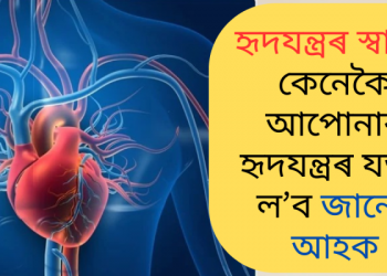 হৃদযন্ত্ৰৰ স্বাস্থ্য: কেনেকৈ আপোনাৰ হৃদযন্ত্ৰৰ যতন ল’ব জানো আহক