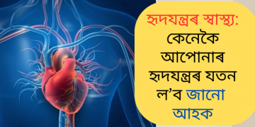 হৃদযন্ত্ৰৰ স্বাস্থ্য: কেনেকৈ আপোনাৰ হৃদযন্ত্ৰৰ যতন ল’ব জানো আহক