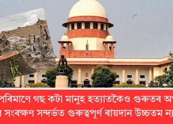 বৃহৎ পৰিমাণে গছ কটা মানুহ হত্যাতকৈও গুৰুতৰ অপৰাধ: পৰিৱেশ সংৰক্ষণ সন্দৰ্ভত গুৰুত্বপূৰ্ণ ৰায়দান উচ্চতম ন্যায়ালয়ৰ