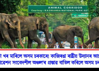 ওলোটা খৰ মাৰিলে অসম চৰকাৰে! কাজিৰঙা ৰাষ্ট্ৰীয় উদ্যানৰ আশে-পাশে ‘পৰিৱেশন সংবেদশীল অঞ্চল’ৰ প্ৰস্তাৱ বাতিল কৰিলে অসম চৰকাৰে