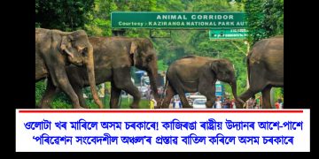 ওলোটা খৰ মাৰিলে অসম চৰকাৰে! কাজিৰঙা ৰাষ্ট্ৰীয় উদ্যানৰ আশে-পাশে ‘পৰিৱেশন সংবেদশীল অঞ্চল’ৰ প্ৰস্তাৱ বাতিল কৰিলে অসম চৰকাৰে
