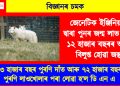 বিজ্ঞানৰ চমক : জেনেটিক ইঞ্জিনিয়াৰিঙৰ দ্বাৰা পুনৰ জন্ম লাভ কৰিলে ১২ হাজাৰ বছৰৰ আগতে বিলুপ্ত হোৱা জন্তুৱে
