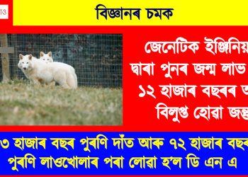 বিজ্ঞানৰ চমক : জেনেটিক ইঞ্জিনিয়াৰিঙৰ দ্বাৰা পুনৰ জন্ম লাভ কৰিলে ১২ হাজাৰ বছৰৰ আগতে বিলুপ্ত হোৱা জন্তুৱে
