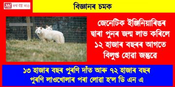 বিজ্ঞানৰ চমক : জেনেটিক ইঞ্জিনিয়াৰিঙৰ দ্বাৰা পুনৰ জন্ম লাভ কৰিলে ১২ হাজাৰ বছৰৰ আগতে বিলুপ্ত হোৱা জন্তুৱে