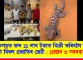 ডিব্ৰুগড়ত জব্দ ১১ লাখ টকাত বিক্ৰী কৰিবলৈ অনা ১১ টা বিৰল কেকো সাপ : গ্ৰেপ্তাৰ ৩ সৰবৰাহকাৰী