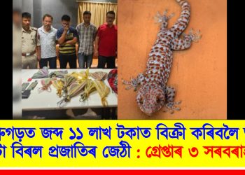 ডিব্ৰুগড়ত জব্দ ১১ লাখ টকাত বিক্ৰী কৰিবলৈ অনা ১১ টা বিৰল কেকো সাপ : গ্ৰেপ্তাৰ ৩ সৰবৰাহকাৰী