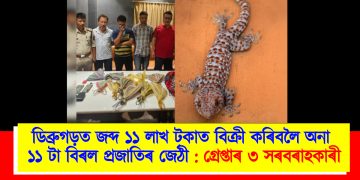 ডিব্ৰুগড়ত জব্দ ১১ লাখ টকাত বিক্ৰী কৰিবলৈ অনা ১১ টা বিৰল কেকো সাপ : গ্ৰেপ্তাৰ ৩ সৰবৰাহকাৰী