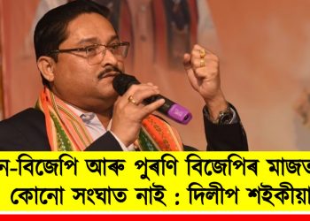 ন-বিজেপি আৰু পুৰণি বিজেপিৰ মাজত কোনো সংঘাত নাই : দিলীপ শইকীয়া