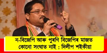 ন-বিজেপি আৰু পুৰণি বিজেপিৰ মাজত কোনো সংঘাত নাই : দিলীপ শইকীয়া