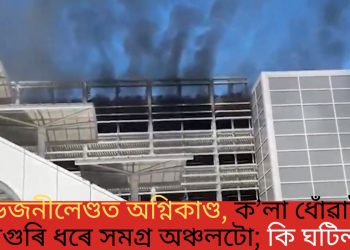 ডিজনীলেণ্ডত অগ্নিকাণ্ড, ক’লা ধোঁৱাই আগুৰি ধৰে সমগ্ৰ অঞ্চলটো; কি ঘটিল?