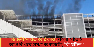 ডিজনীলেণ্ডত অগ্নিকাণ্ড, ক’লা ধোঁৱাই আগুৰি ধৰে সমগ্ৰ অঞ্চলটো; কি ঘটিল?