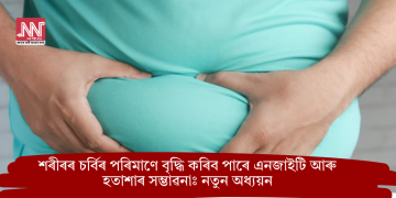 শৰীৰৰ চৰ্বিৰ পৰিমাণে বৃদ্ধি কৰিব পাৰে এনজাইটি আৰু হতাশাৰ সম্ভাৱনাঃ নতুন অধ্যয়ন