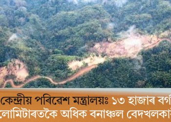 কেন্দ্ৰীয় পৰিৱেশ মন্ত্ৰালয়ঃ ১৩ হাজাৰ বৰ্গ কিলোমিটাৰতকৈ অধিক বনাঞ্চল বেদখলকাৰীৰ কবলত