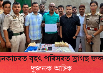 মানকাচৰত বৃহৎ পৰিসৰত ড্ৰাগছ জব্দ! দুজনক আটক