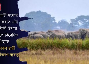 প্ৰাণঘাতী সংঘাত ৰোধ কৰাত এটা কাৰ্যকৰী উপায় হিচাপে বিবেচিত হৈছে ভাৰতৰ হাতী সতৰ্কীকৰণ ব্যৱস্থা
