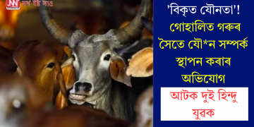 ‘বিকৃত যৌনতা’! গোহালিত গৰুৰ সৈতে যৌন সম্পৰ্ক স্থাপন কৰাৰ অভিযোগ, আটক দুই হিন্দু যুৱক