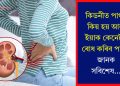 কিডনীত পাথৰ কিয় হয় আৰু ইয়াক কেনেকৈ ৰোধ কৰিব পাৰি? জানক সবিশেষ…
