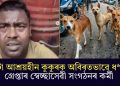 ১৩টা আশ্ৰয়হীন কুকুৰক অবিৰতভাৱে ধৰ্ষণ! গ্ৰেপ্তাৰ স্বেচ্ছাসেৱী সংগঠনৰ কৰ্মী