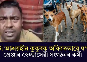 ১৩টা আশ্ৰয়হীন কুকুৰক অবিৰতভাৱে ধৰ্ষণ! গ্ৰেপ্তাৰ স্বেচ্ছাসেৱী সংগঠনৰ কৰ্মী