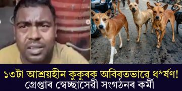 ১৩টা আশ্ৰয়হীন কুকুৰক অবিৰতভাৱে ধৰ্ষণ! গ্ৰেপ্তাৰ স্বেচ্ছাসেৱী সংগঠনৰ কৰ্মী