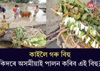 কাইলৈ গৰু বিহু, কিদৰে অসমীয়াই পালন কৰিব এই বিহু?