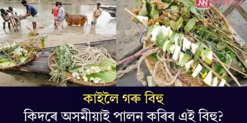 কাইলৈ গৰু বিহু, কিদৰে অসমীয়াই পালন কৰিব এই বিহু?