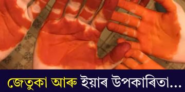 জেতুকা আৰু ইয়াৰ উপকাৰিতা…